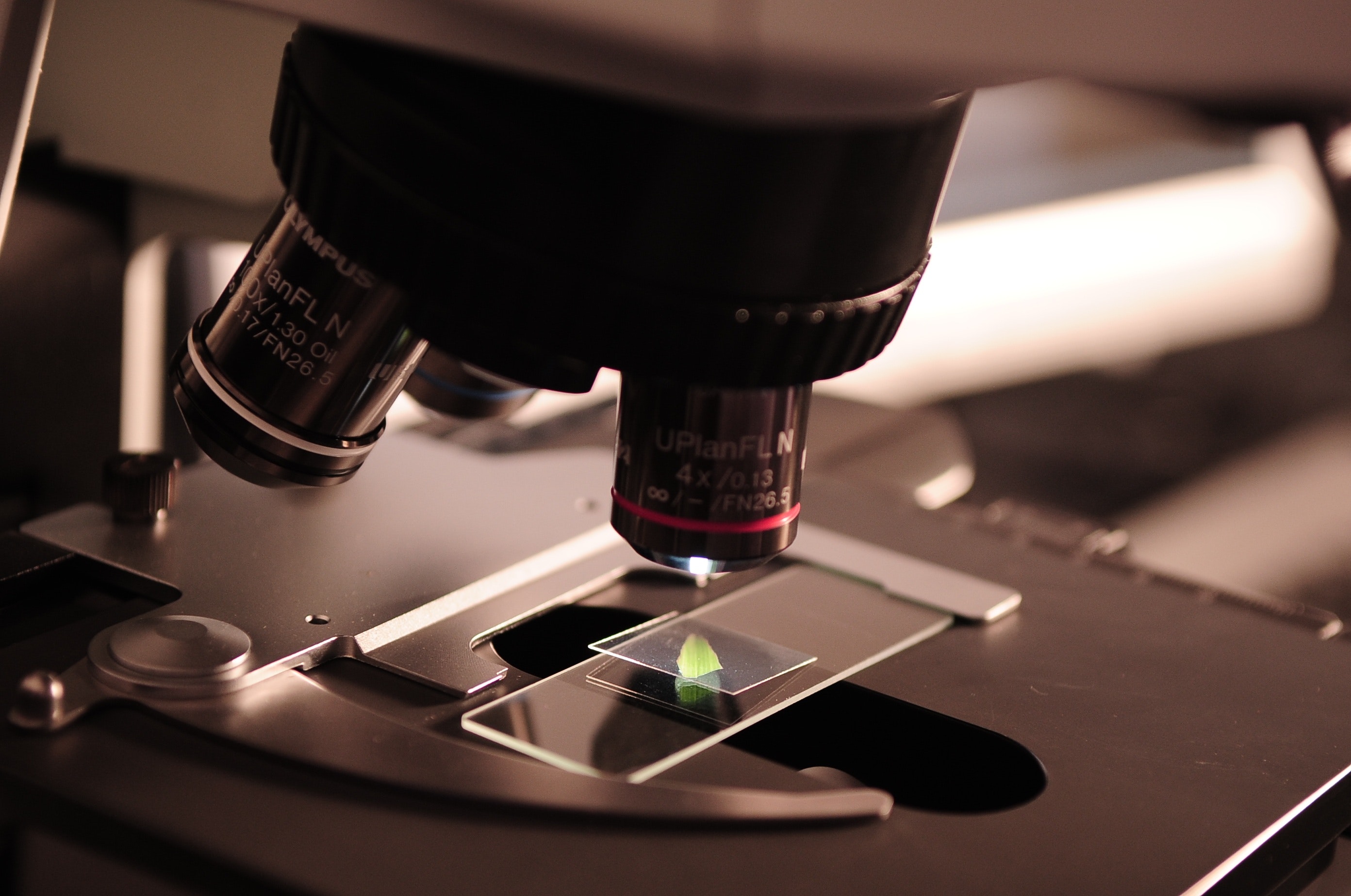 Our innovative approach to Research & Development